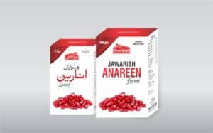 Jawarish Anareen Ferozi